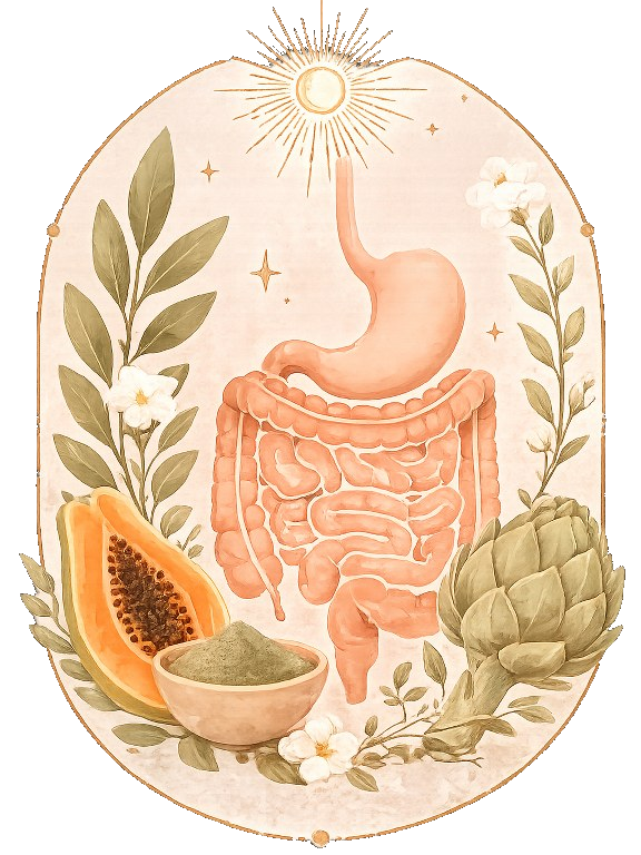 Reparación Digestiva y Nutricional